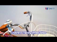 children bicycle 20 inch girls bike high quality 5 to 8 years old kids bike