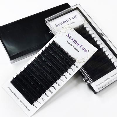 China Natural Soft Silk Quality PBT Korean Lash Extension Private Label Classic Spoolies Lash Extension Trays Professional High for sale