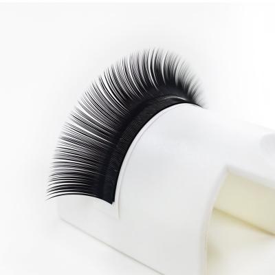 China Private Label Adhesive Lash Extensions Lash Strips Lash Extensions Free Samples Trays Soft Eye Wholesale Natural Soft Curl for sale