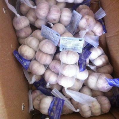 China 2021 Fresh New Culture China / Chinese Fresh Garlic Normal White For Wholesale And Hot Sales for sale