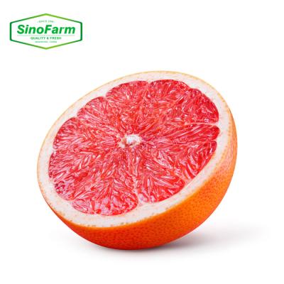 China New fresh cultivation of China's fresh Chinese grapefruit red grapefruit for sale