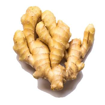 China Thailand Red Not Fresh Ginger Fresh Aromatic Ginger for sale