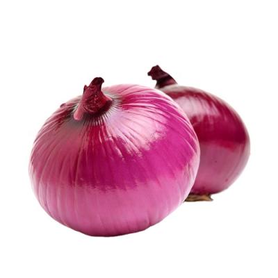 China Fresh Fresh Peeled Yellow Red Onion Onion Export To Australia Market for sale