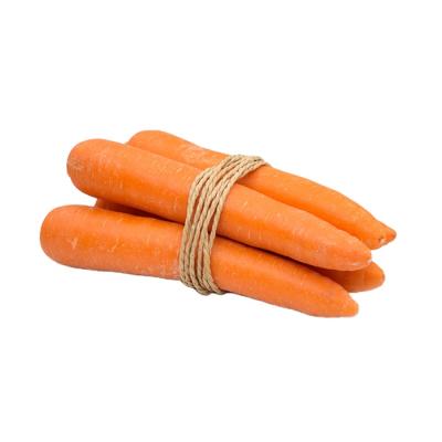 China China new fresh vegetable fresh vegetable carrot wholesale price fresh culture for sale