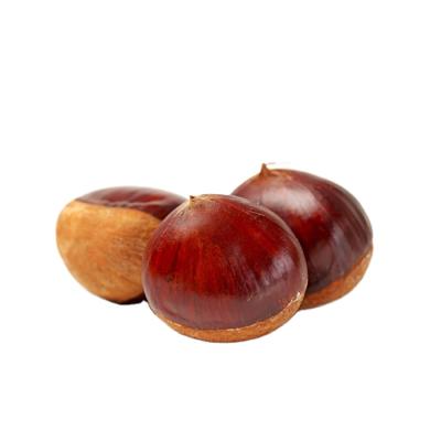 China Fresh Chestnut and Nuts for China's Export and Premium Quality Chestnut for sale