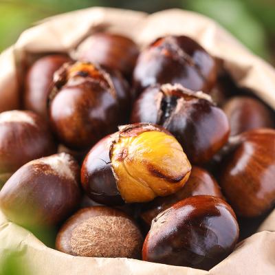 China Easy Peeled Roasted Chestnut Chinese Fresh Chestnut Factory Supply For Raw Chestnut Import From China for sale