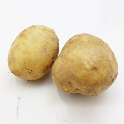 China fresh fresh potato for sale