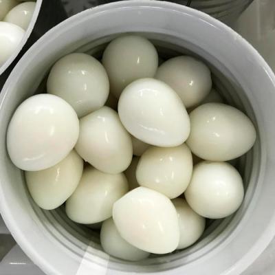 China Quail eggs cooked in water 425g 850g 3kg brine for sale