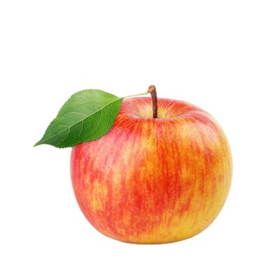 China Fresh Apple Fresh Exporters for sale