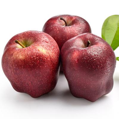 China High Quality Fresh Apple Exporters Fresh Fruit Huaniu Red Delicious Apples for sale