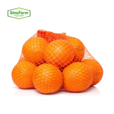 China Supply Factory Directly Fresh Fresh Orange Fruit Tangerine for sale