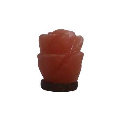 China Negative Release Ion Maker Well Made Pink Salt Lamp Himalayan Rose Flower Salt Lamp Usb Light for sale