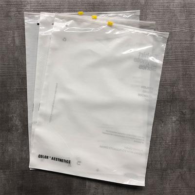 China Recyclable Customized Printed Packaging PVC PE Bag T-shirt Clothes Packaging Plastic Zipper Garment Zipper Bag Slider for sale