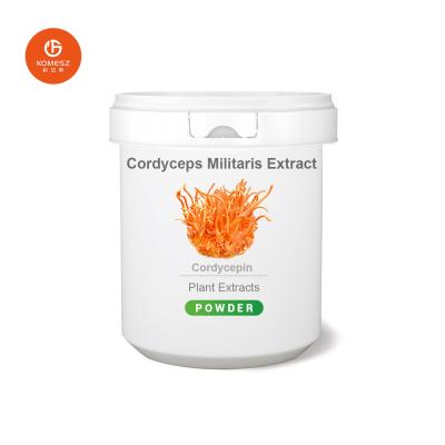 China Hoogwaardige Cordyceps CS-4 / Cordyceps Militaris Extract / Cordyceps Sinensis Extract Poeder Te koop