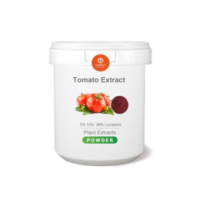 China Extracto de tomate natural en polvo Extracto de tomate 5% 10% 98% licopeno en venta