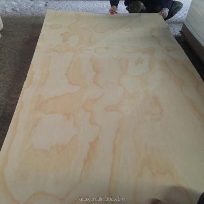 China Cheap MR 1250x2500 Cheap Glue Furniture Price Interior Raw Wood For Door Skin And Plywood for sale