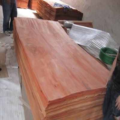 China For Plywood Face/Back 0.3mm Natural Gurjan Veneer Professional Manufacturer Face Veneer for sale