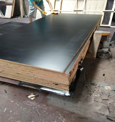 China AS/NZS 2269 Standard 1200x1800mm 17mm WBP Glue Exterior Australian Eucalyptus Phenolic Core Black Film Faced F17 Formply Plywood for sale