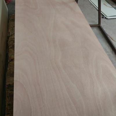 China Indoor flat skin okoume flat door face 3mm for sale