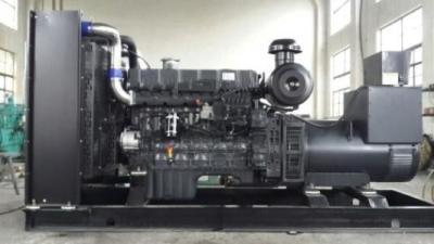 Cina Sistema di controllo di parallelizzazione automatico trifase silenzioso eccellente del generatore di CA 250KW in vendita