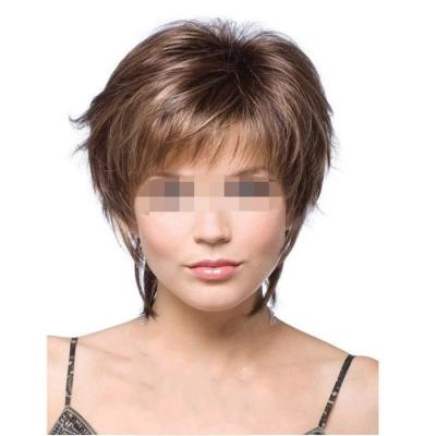 China Monofilament Silky Straight Front Cap Synthetic Hair Wave Lace Wig With Highlight For Lady for sale