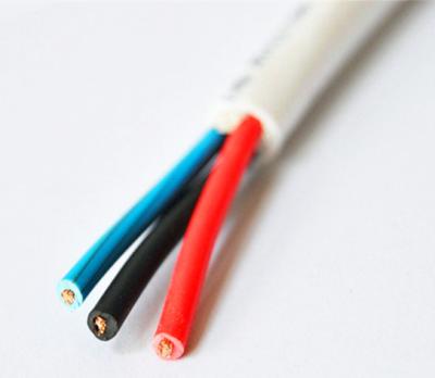 China Home Appliances 300/500V PVC Insulated RVV H05VV-F H03VV-F Flexible Copper Cable for sale