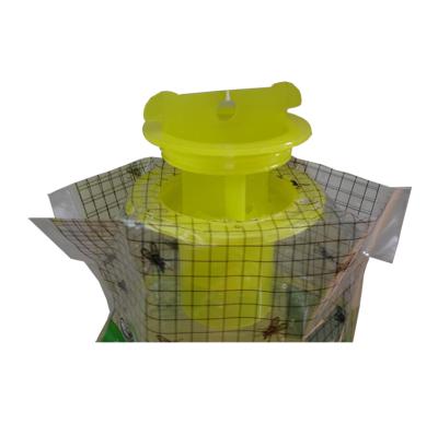 China 2020 Direct Sales Disposable Pesticide Factory Fly Trap And Disposable Fly Catcher for sale