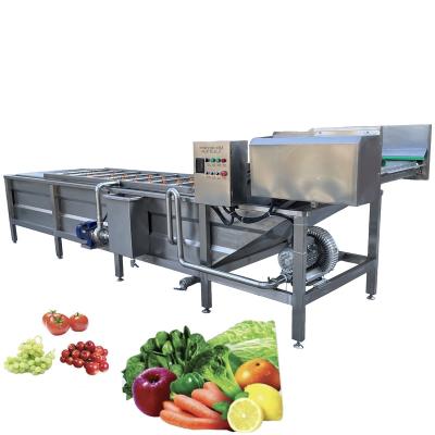 China High Efficiency Easy Operate Industrial Bubble Washing Machine Mango Orange Chilli Leafy Vegetables Washing And Drying Machine for sale