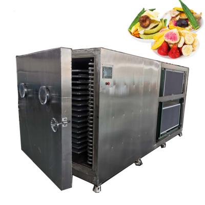 China Food Processing Best Selling Stainless Steel Food Freeze Dryers Mini Freeze Dryer Machine /food dehydrator for sale