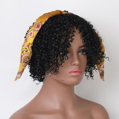 China Afro Curly Wave Wig Synthetic Lace Front Wigs (JF-04) With Headbands for sale