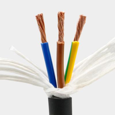 China 1500 Million Times Bending TRVV Black 2 Super Flexible 3 4 Core PVC Insulated Electrical Cables Sheathed Stranded Copper Wire for sale