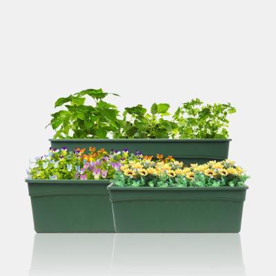 China Coastal Thickened Pot Household Balcony PP Material Vegetable Planting Rectangular Flower Pot for sale