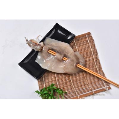 China Nutritious the hottest selling whole natural squid nutrition low fat squid for sale