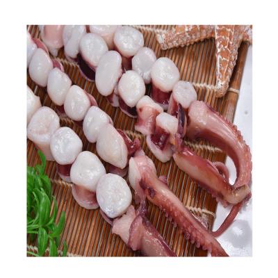 China Most popular nutritious used for BBQ Dragon Ball String Gourmet Squid for sale