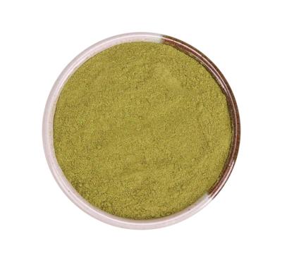 China Tea Wholesale Natural Rosemary Powder High Purity Rosemary Leaf Extract for sale