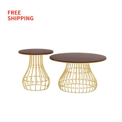 China Solid Manufacturer Shipping Nordic Light Luxury Living Room Coffee Table Metal Cavity Around Walnut Countertop Living Room Side Table for sale