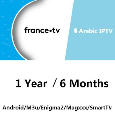 China OTT Magnum FRENCH GERMANY IPTV ARABIC M3u Subscription 12 Months Free Trial Android IPTV Salt 1 Reseller Hot Panel for sale