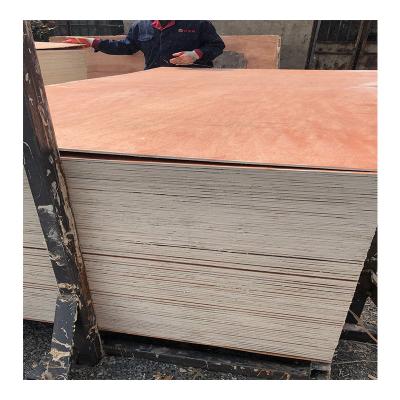 China Best Quality Contemporary Durable Poplar 1220*2440MM Bintangor Exterior Veneer Plywood for sale