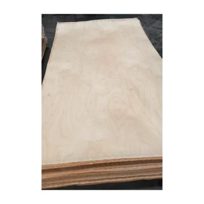 China Good Reputation Traditional Cheap Furnichure Use E0/E1 Glue Birch Veneer Plywood for sale