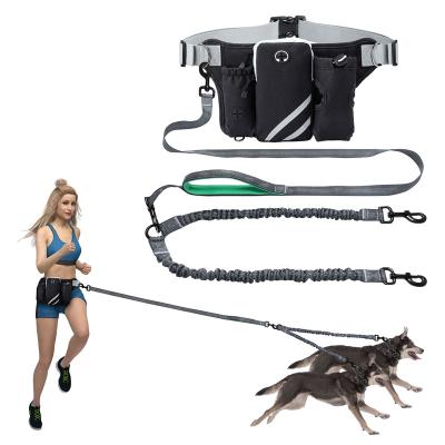 China Adjustable Retention Belt Padded Running Hands Dog Bungee Reflective Nylon Free Leash For 2 Dogs for sale