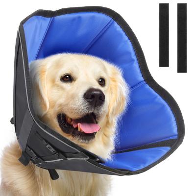 China Pet Recovery E-Collar Padded Adjustable Dog Neck Cone Protective Collar for sale