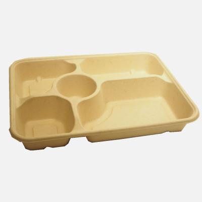 China Biodegradable Disposable Food Wheat Straw Pulp Lunch Box 5 Compartment Box for sale