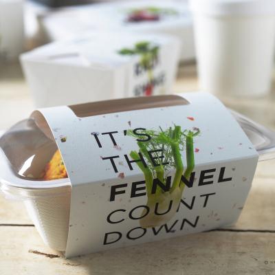 China High-Survey Biodegradable Products Portable Disposable Tray Takeout Containers For Fast Recycled Food for sale