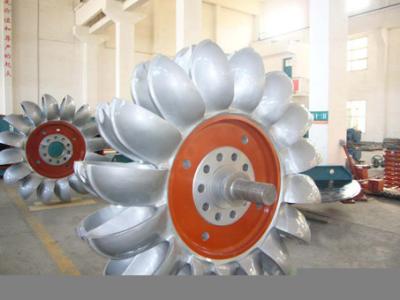 China Hydraulische Pelton-Waterturbine voor Generator 100KW met Roestvrij staalagent Te koop