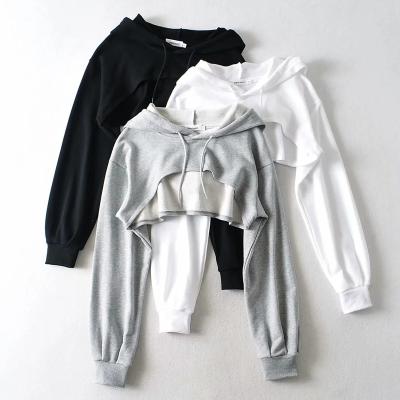 China Viable Supply Hot Sales Original Factory Design Fashion Sports Wear Top Crop Hoodie Women's Hoodies for sale