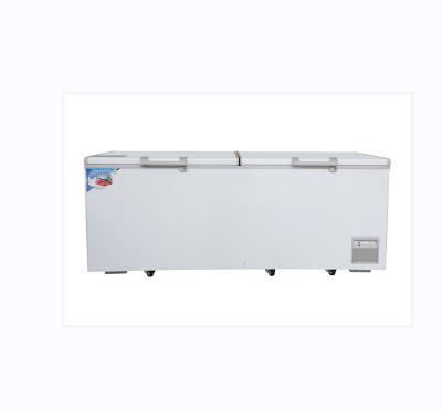 China SUILING 1000LHorizontal Hotel Freezer Chest Freezer For Sale Commercial Large Sizes Top Open Solid Door With Competitive Price BD-1250 for sale