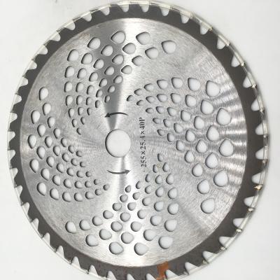 China Cutte 255mm Brush Cut Wood Diamond Saw Blade for sale