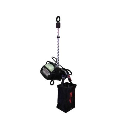 China Lifting Goods Truss Motor 1 Ton Electric Chain Hoist Stage Hoist for sale