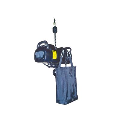 China Electric Lifting Goods Lifting Equipment 1ton Chain Stage Hoist 220V 380V for sale