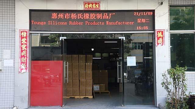 Verified China supplier - Shenzhen Young Silicon Alwayseal Technology Ltd.